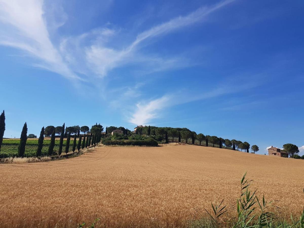 Il Vecchio Seccatoio Bed and Breakfast Solomeo Buitenkant foto