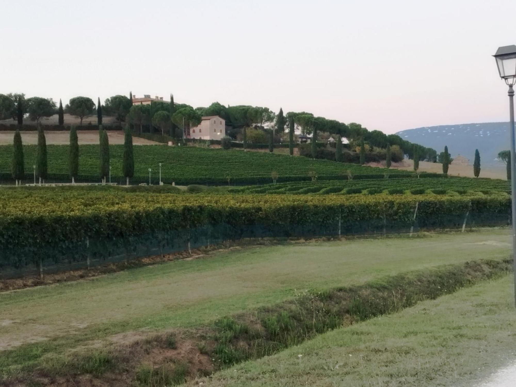 Il Vecchio Seccatoio Bed and Breakfast Solomeo Buitenkant foto